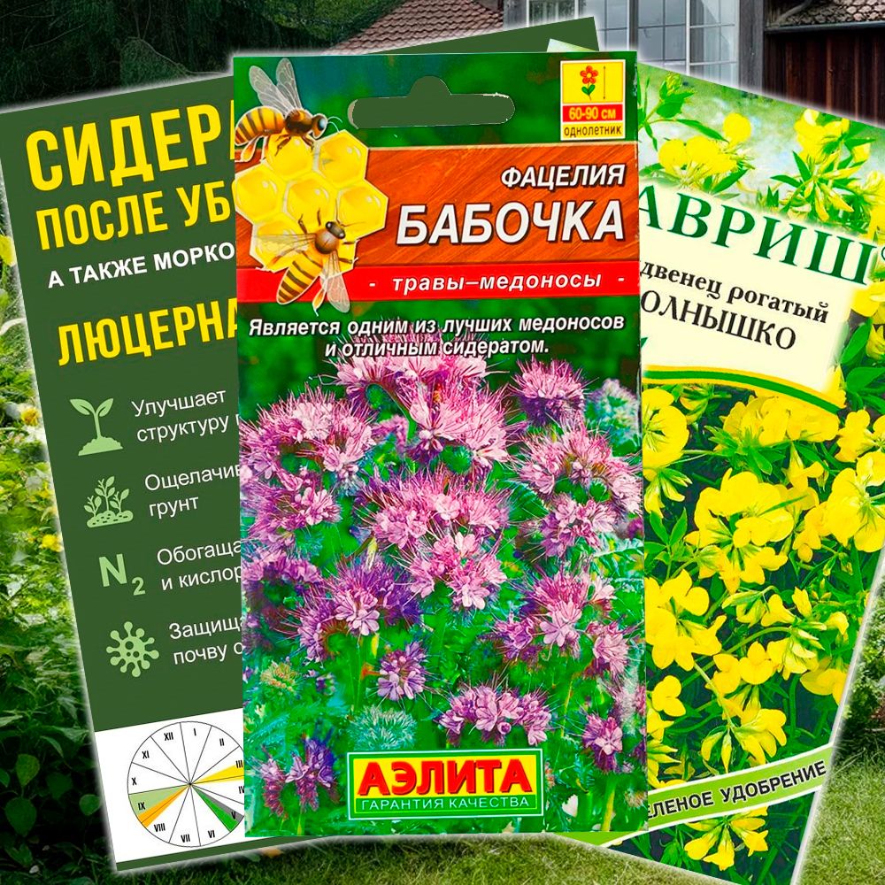 Сидераты для почвы весной